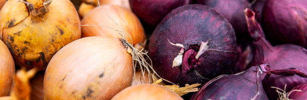 Red and yellow onions